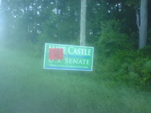 A vandalized campaign sign.